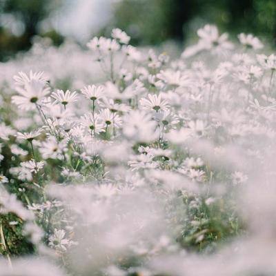 kaiyun电竞入口截图