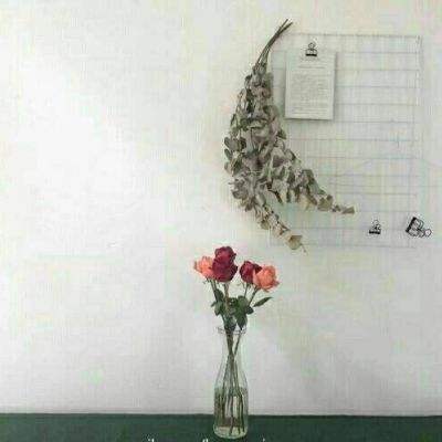 江南娱乐体育官网入口截图