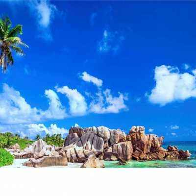 可下分电玩下载手机版